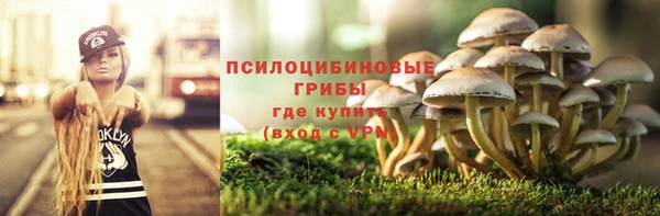 таблы Надым